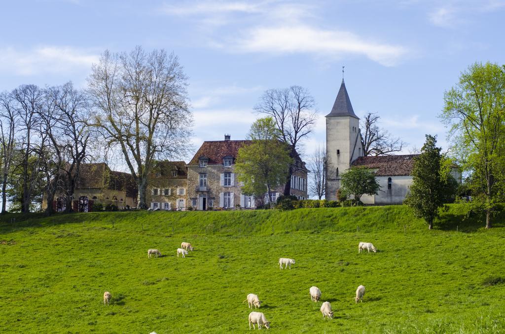 Chateau D'أوريون المظهر الخارجي الصورة